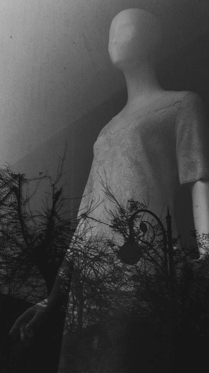 Nordlys Livsstil & Velvære 14